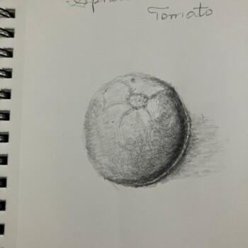 sphere-into-a-tomato-bcs