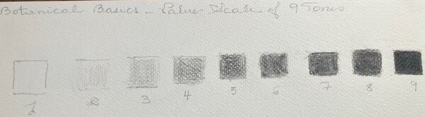Value Scale of 9 tones-bcs