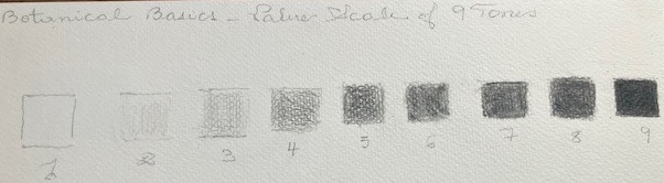 value-scale-of-9-tones-bcs