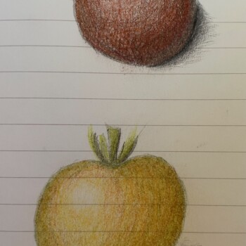 tomatoes-19jul26