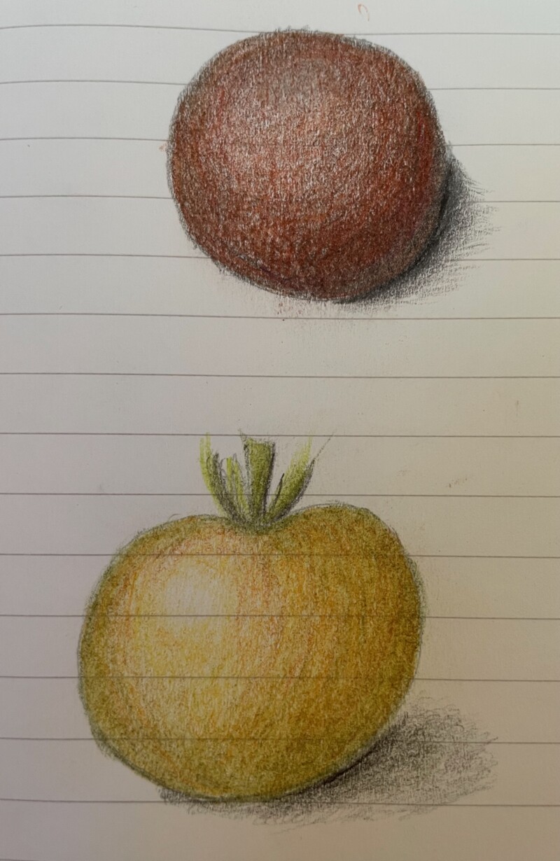 tomatoes-19jul26