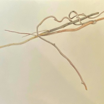 branch-part-2