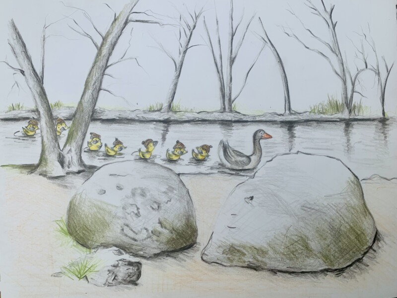 duckies-ashland