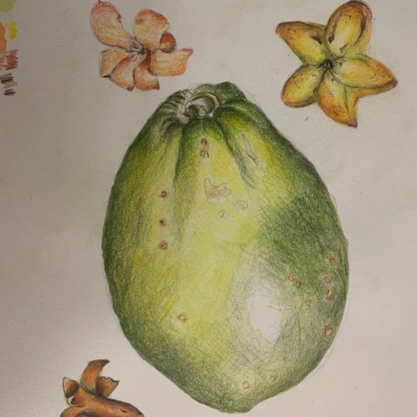 Fruit from new friends