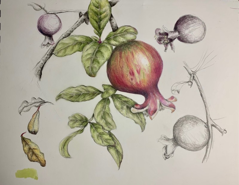 poms-in-the-hood-8_21_22