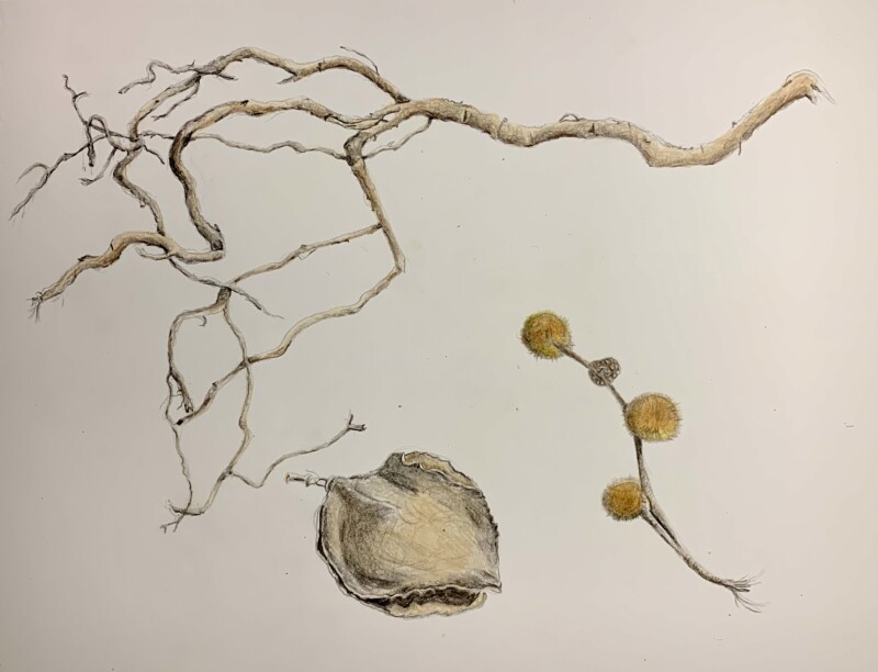 branch-and-pods-day-1