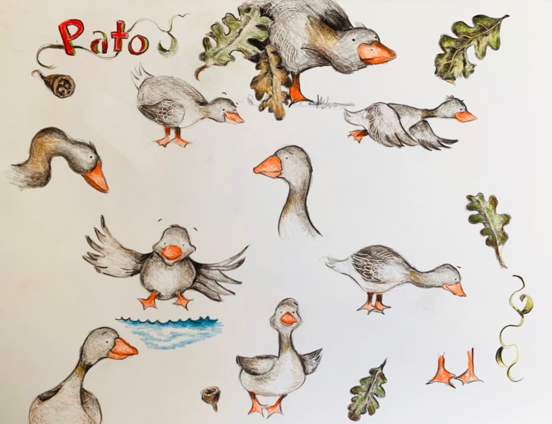 pato-character-study