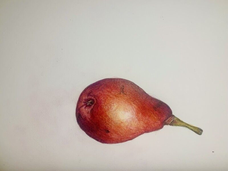 pear-14