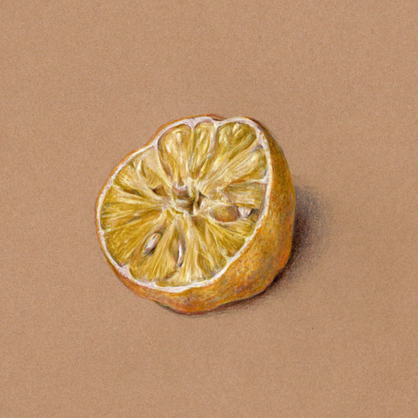 lemon on Kraft paper