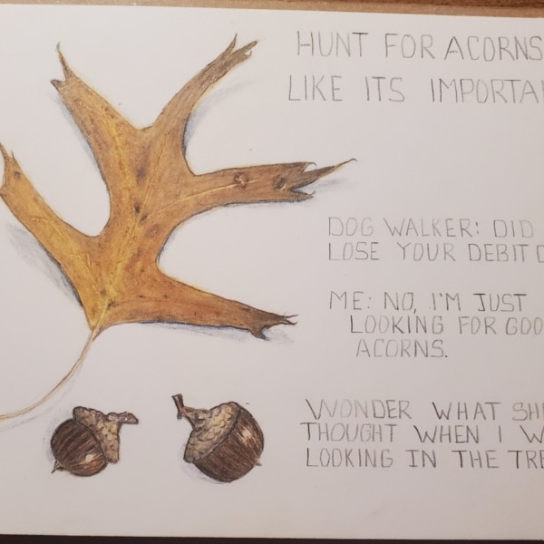 Acorn Hunt