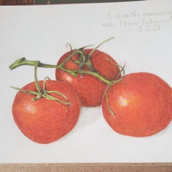 6 months of learning and practice