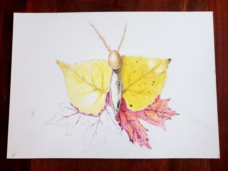inspired-by-lois-elherts-leaf-man