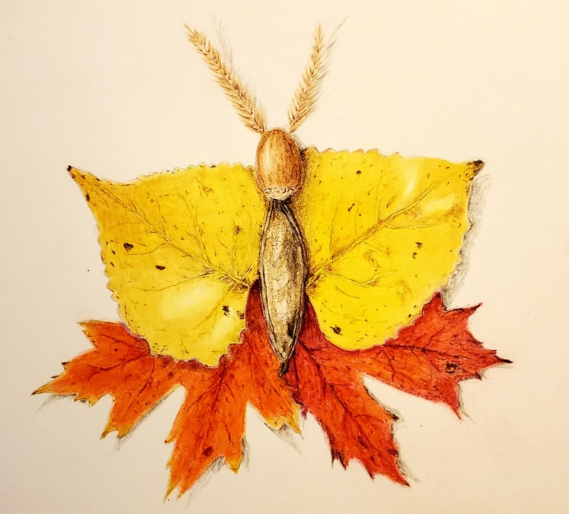 autumn-magic-nod-to-lois-elhert