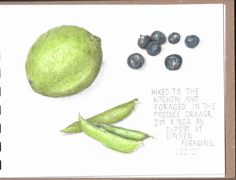 foraging