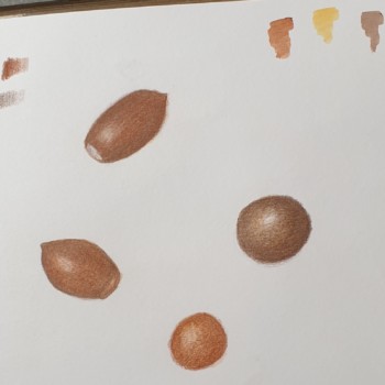 first-acorn