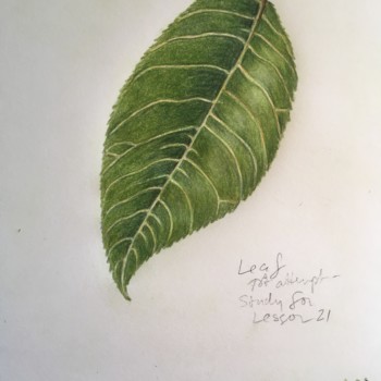 lesson21prep-leaf