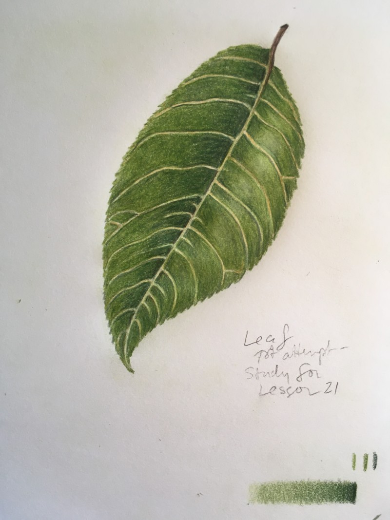 lesson21prep-leaf