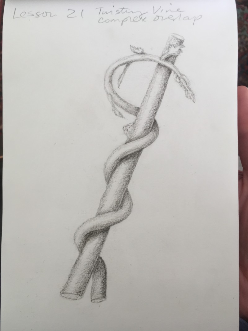 lesson21vine