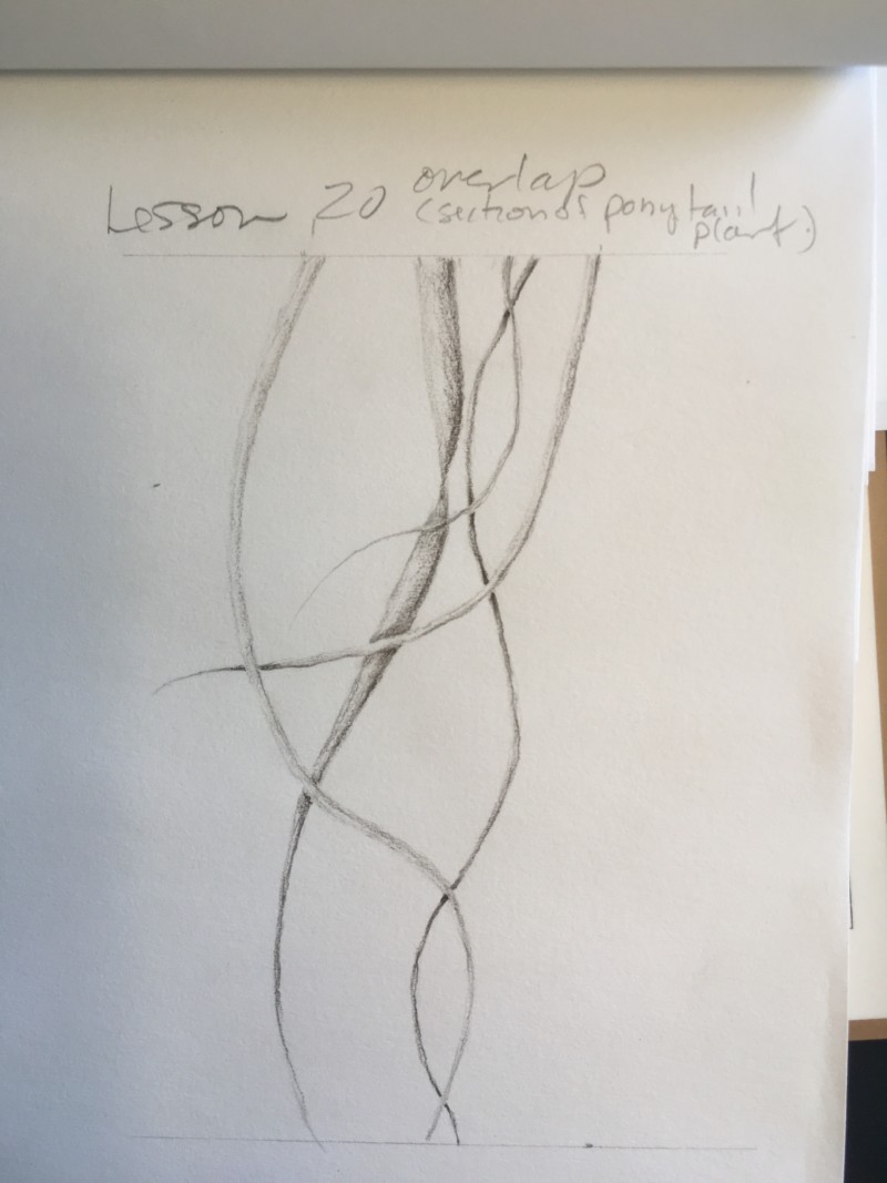 lesson20