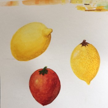 k_vartan_meyer_lemon_with_tomato_august2020