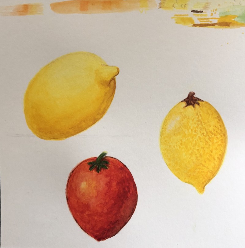 k_vartan_meyer_lemon_with_tomato_august2020
