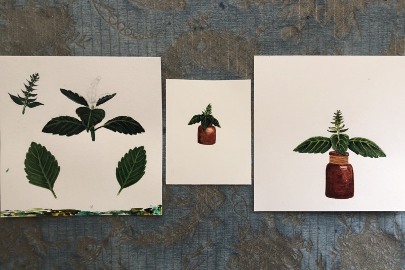 k_vartan_tulsi_basil_august2020