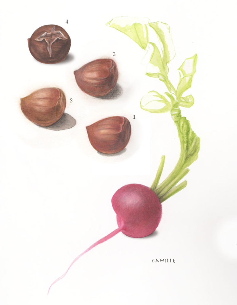 camille_01