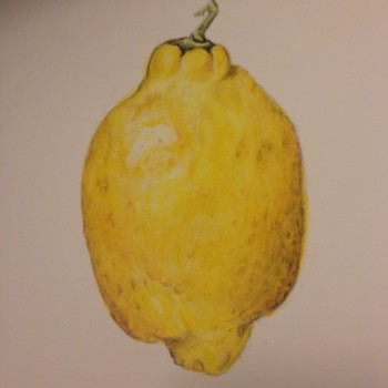 lemon-3