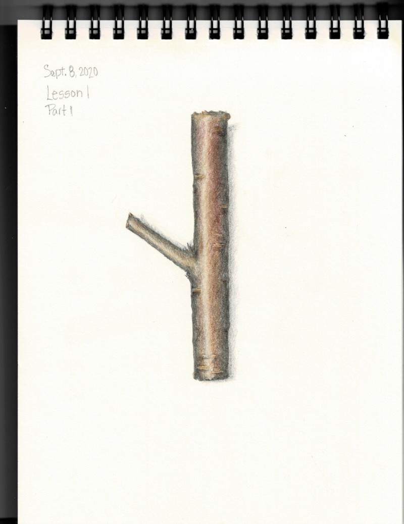 lesson-1-branch_000001