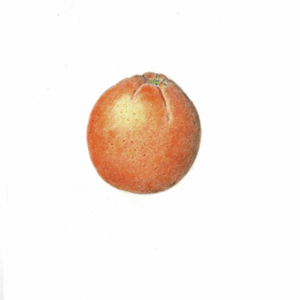 ORANGE1_000008