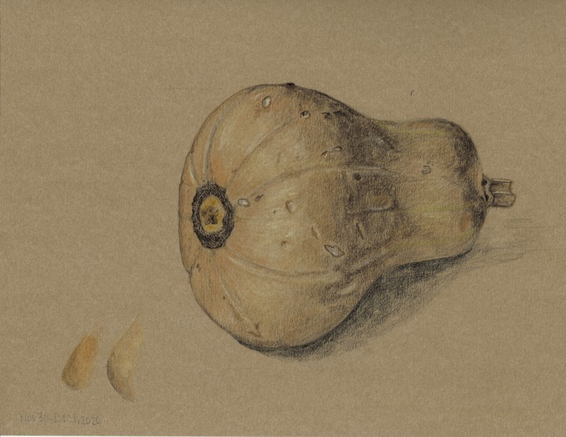 butternut-squash-kraft_000016