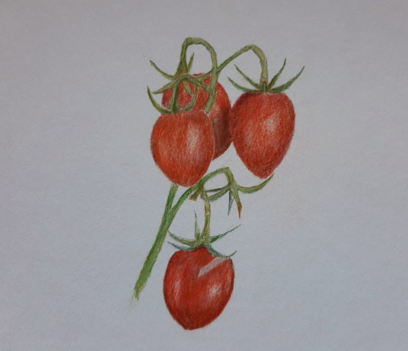cherry-tomatoes-4