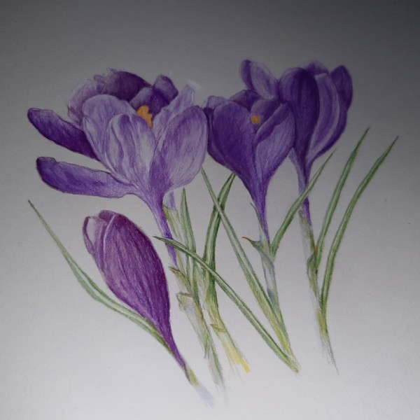 First signs of spring 