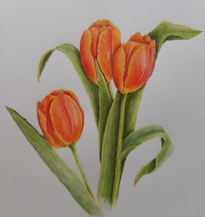 more-toning-and-shading