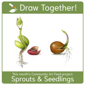 draw-together-seedlings-and-sprouts