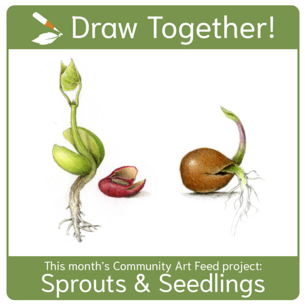 Draw Together - Seedlings and Sprouts!