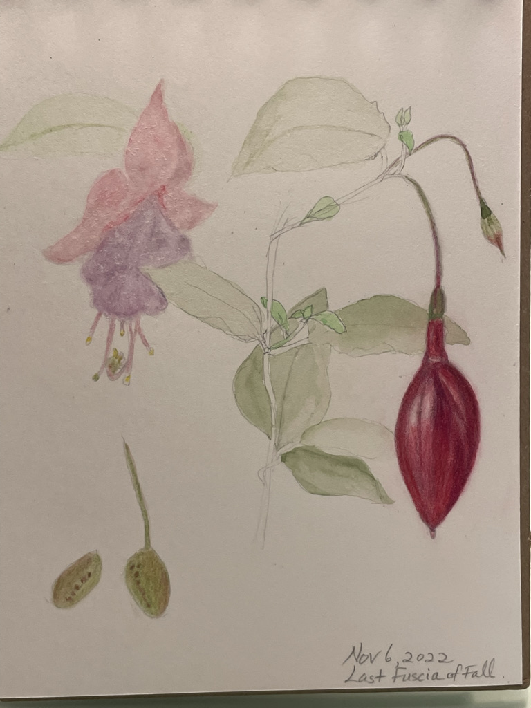 last-fuschia-before-the-snowfall