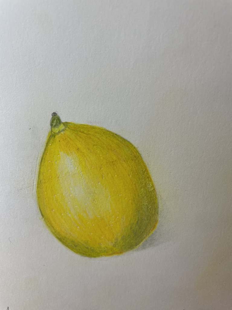 meyer-lemon-january-24th-2022-revised