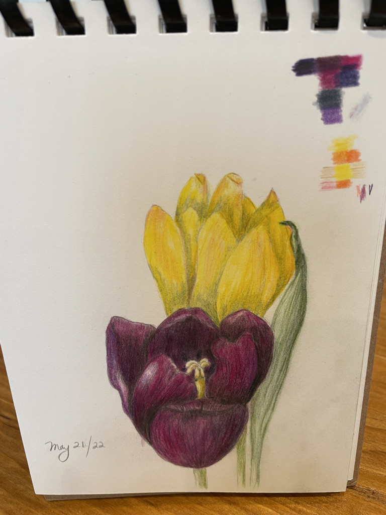 flat-tulips