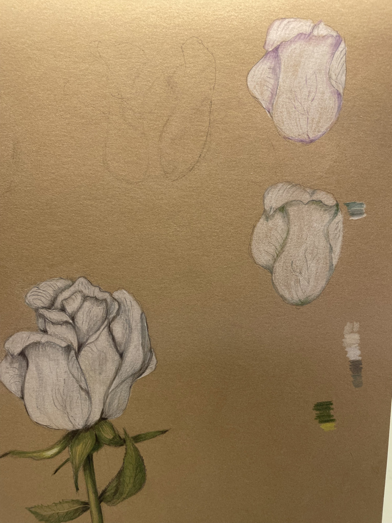 trying-different-tones-for-shading