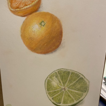 citrus-for-pam-and-sams-class-jan-19-23
