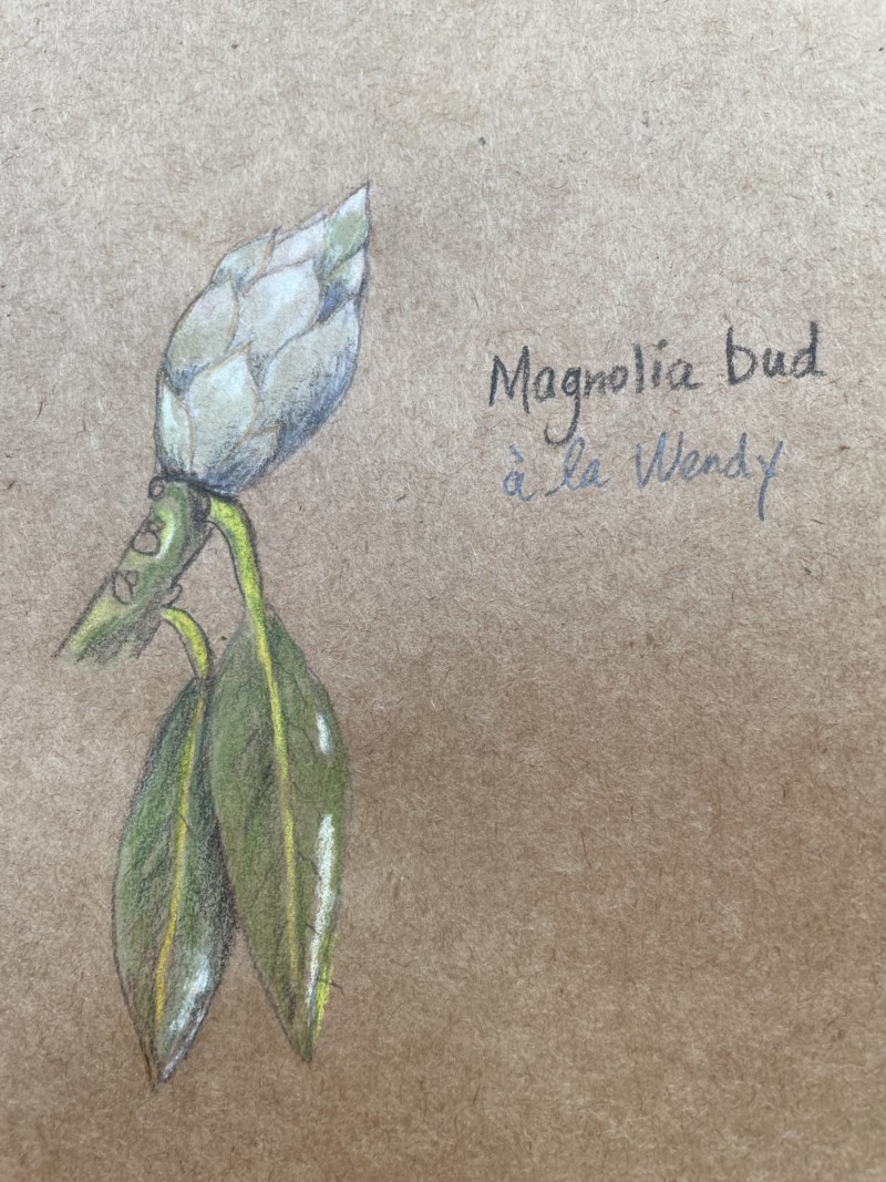 drawing-along-with-wendy-in-wow-class-2