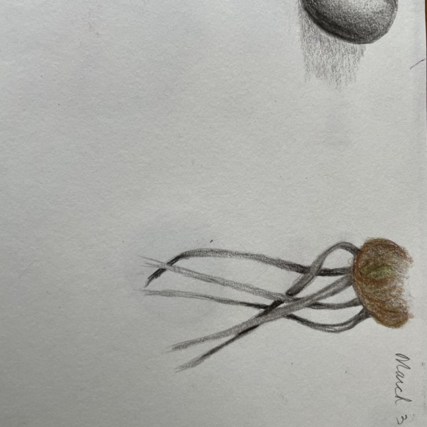 practicing overlap roots