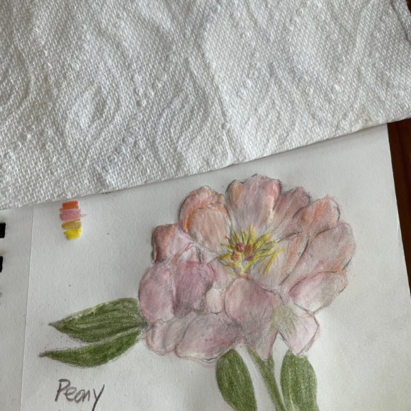 Step 3- pencil and more watercolour - I've lost my way!! where are the petals?