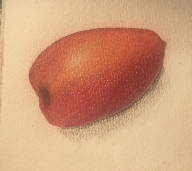 plum-tomato