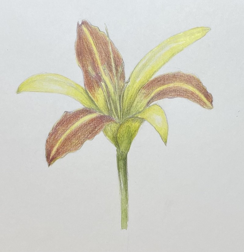 flower-3