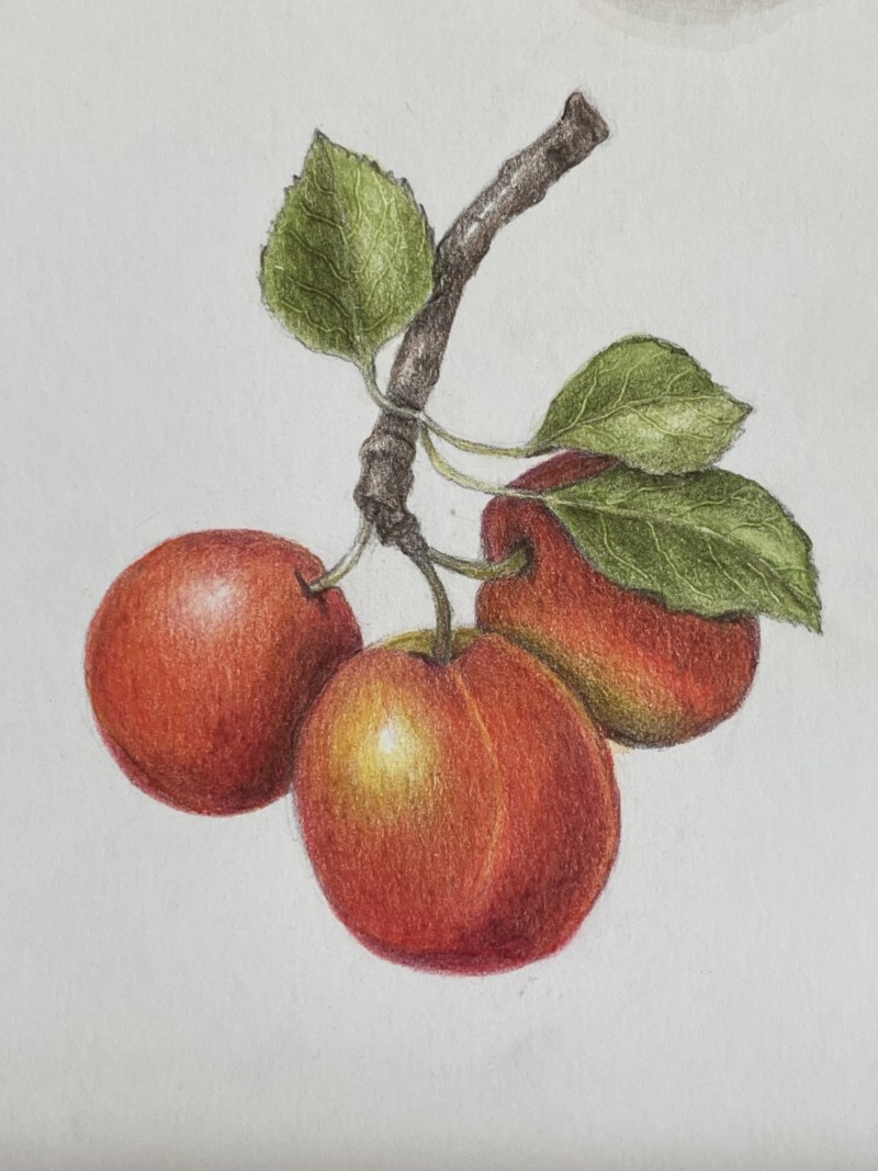 small-fruits-3