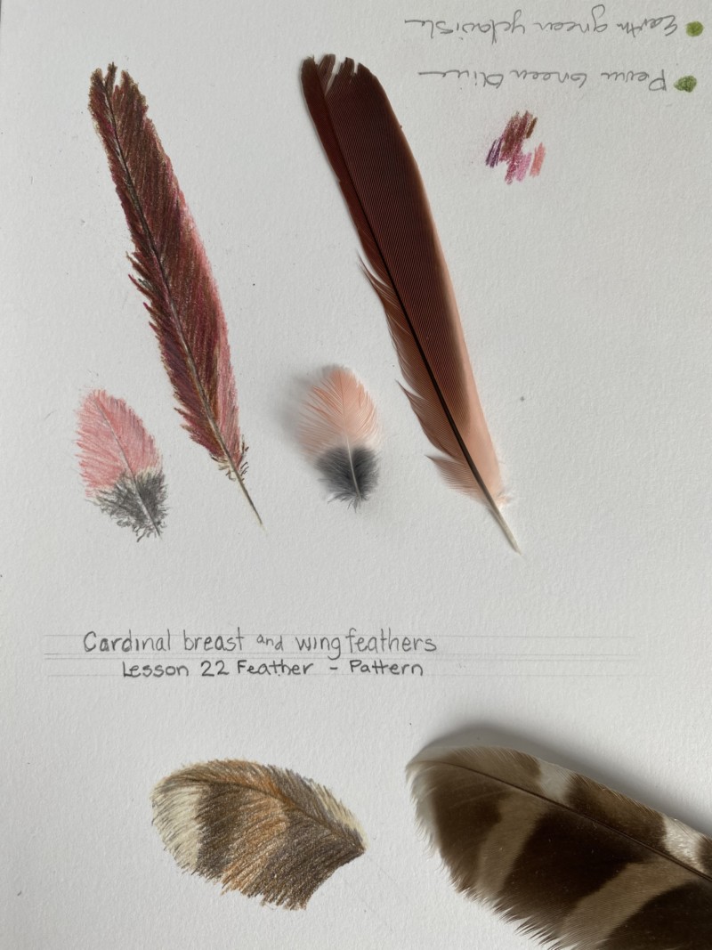 lesson-23-pattern-apple