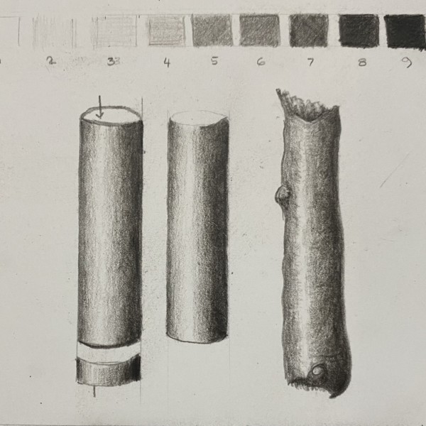 Cylinders and first branch!