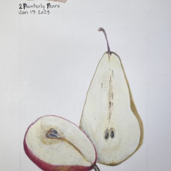 2-painterly-pears